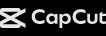 CapCut Pro